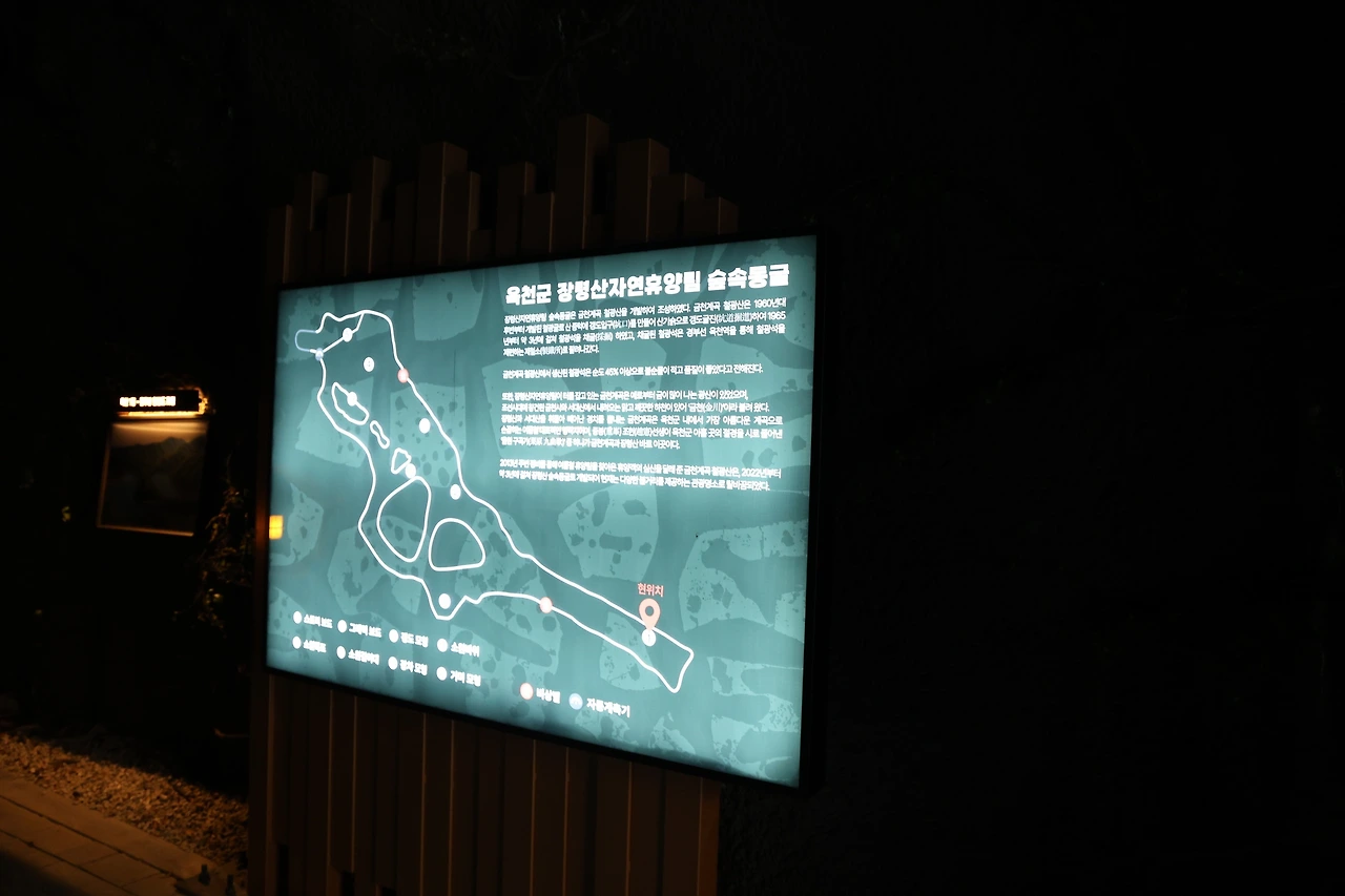 0R5A7975_новый размер.JPG