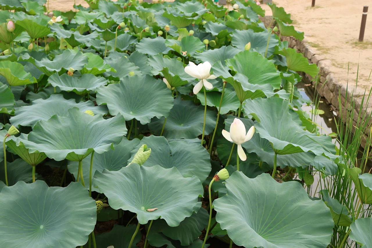 0R5A2780_новый размер.JPG