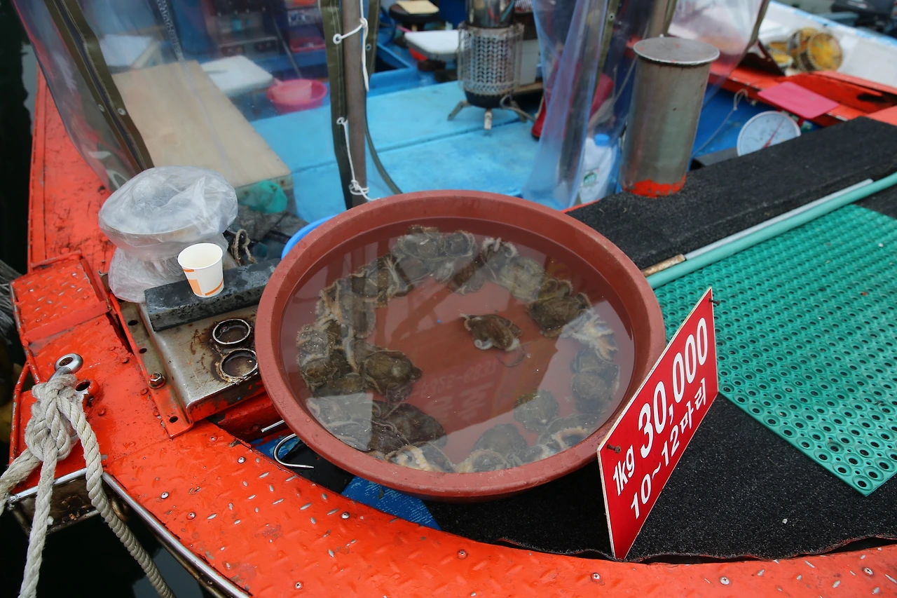 MG0A6860_новый размер.JPG