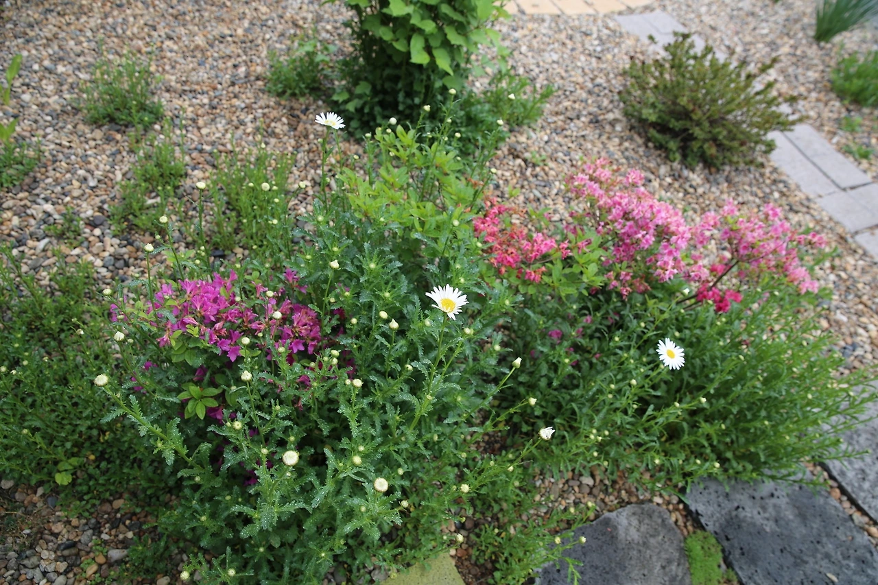 MG0A1420_новый размер.JPG