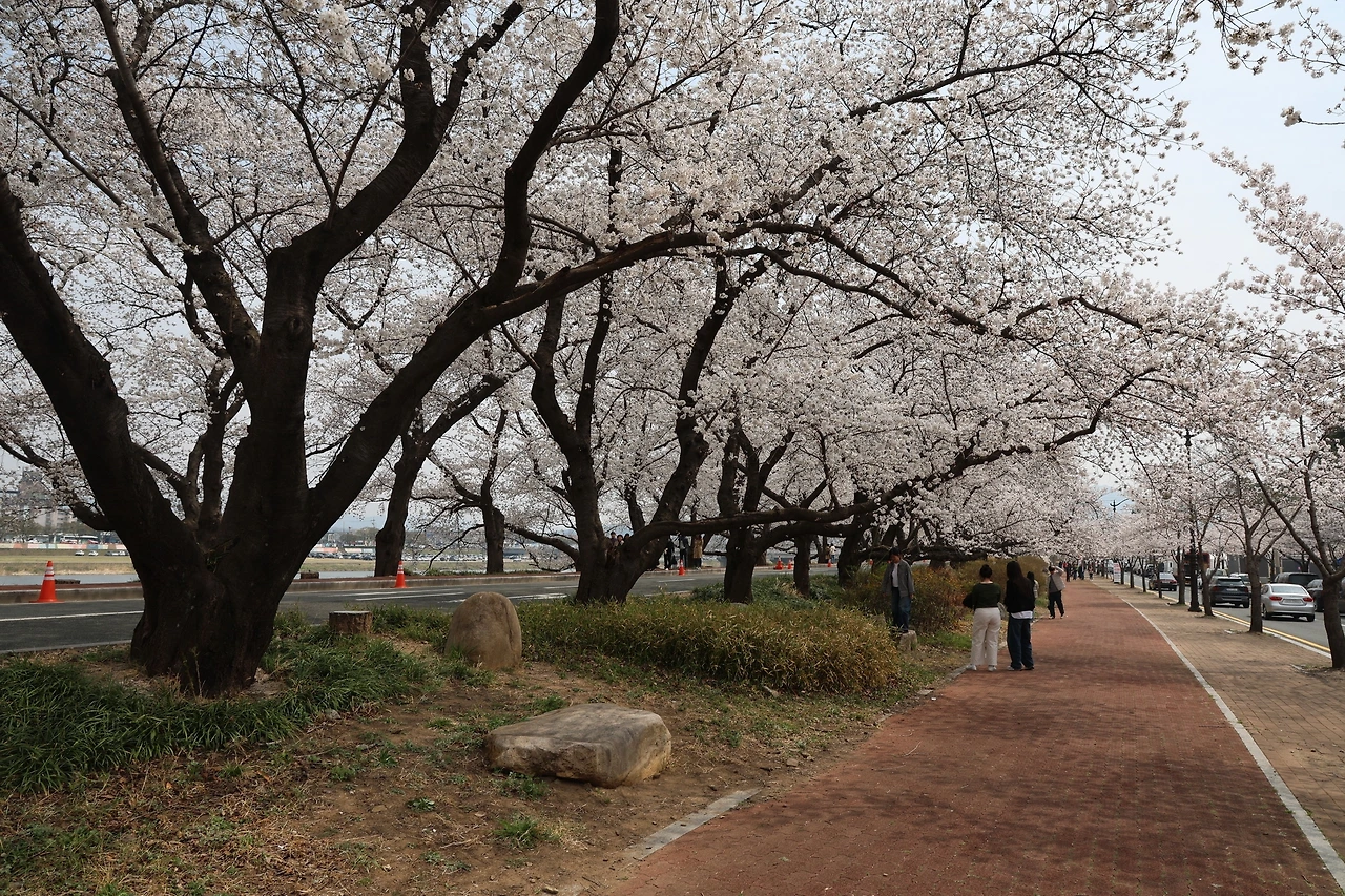 0R5A4716_новый размер.JPG