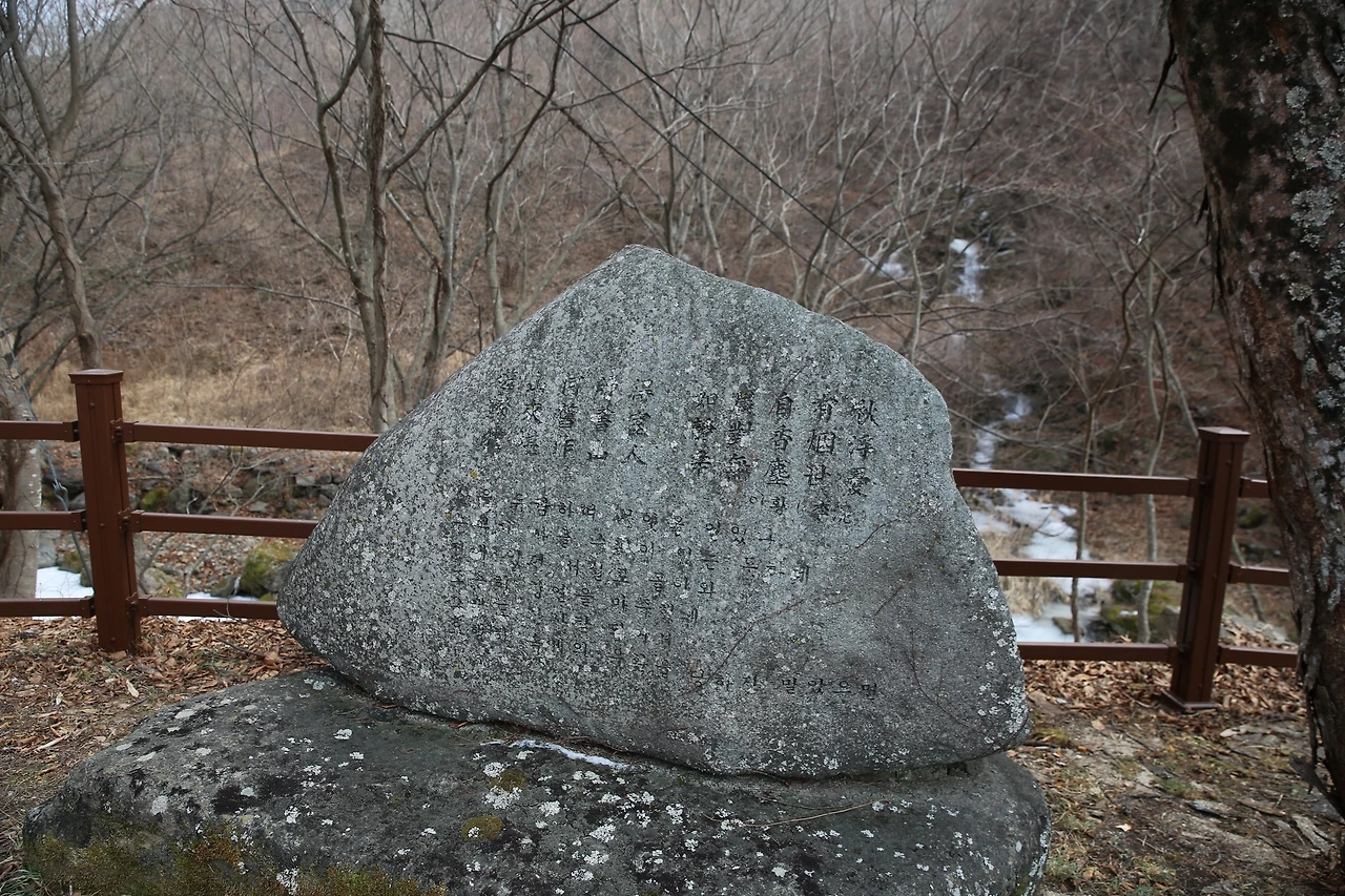 MG0A6417_новый размер.JPG