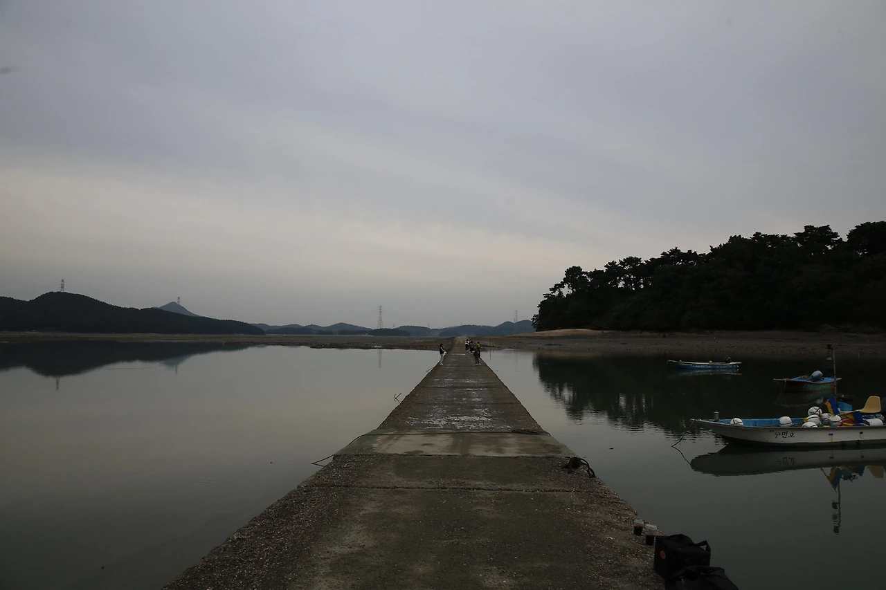 MG0A5376_новый размер.JPG