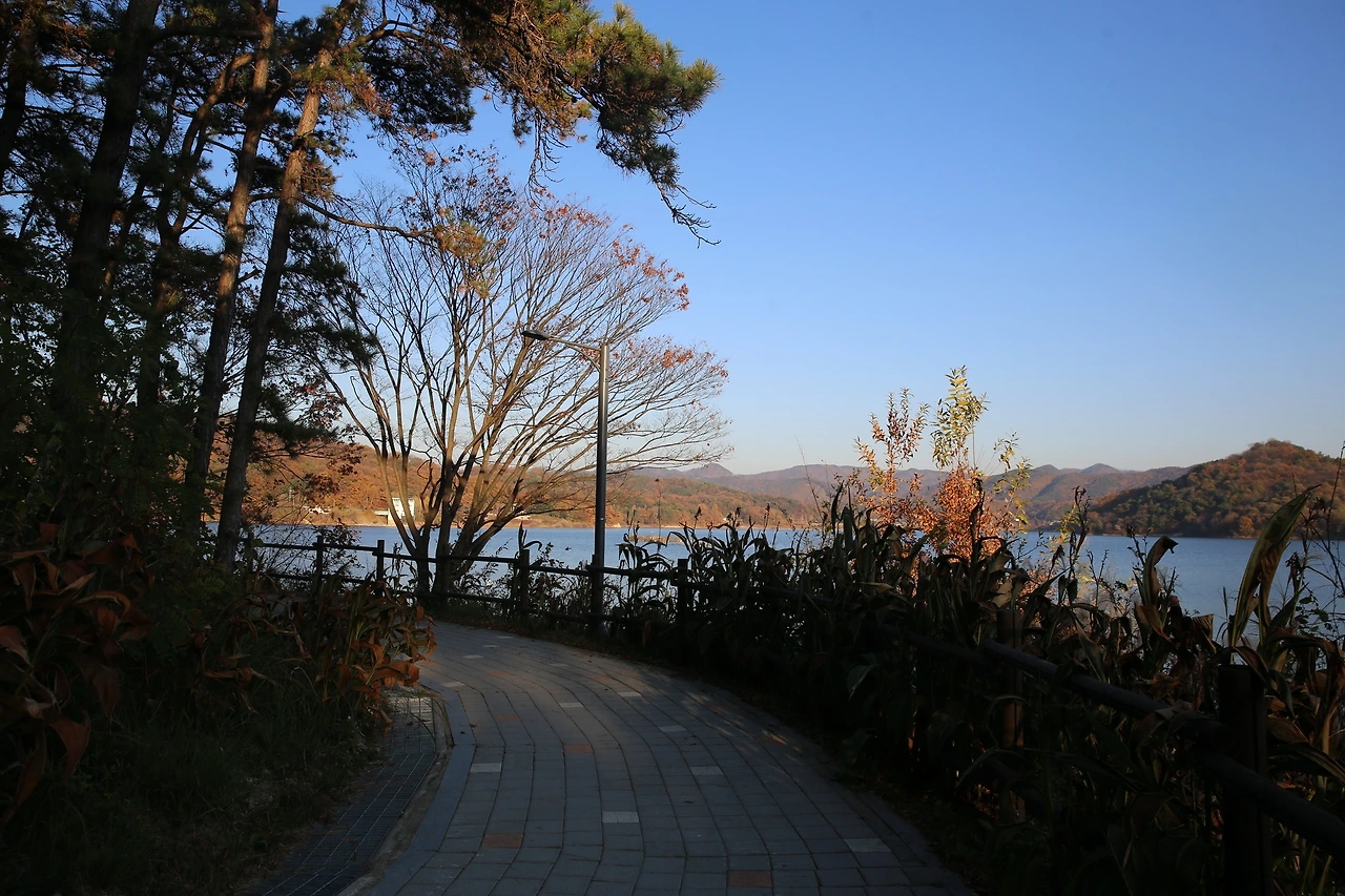 MG0A1378_новый размер.JPG