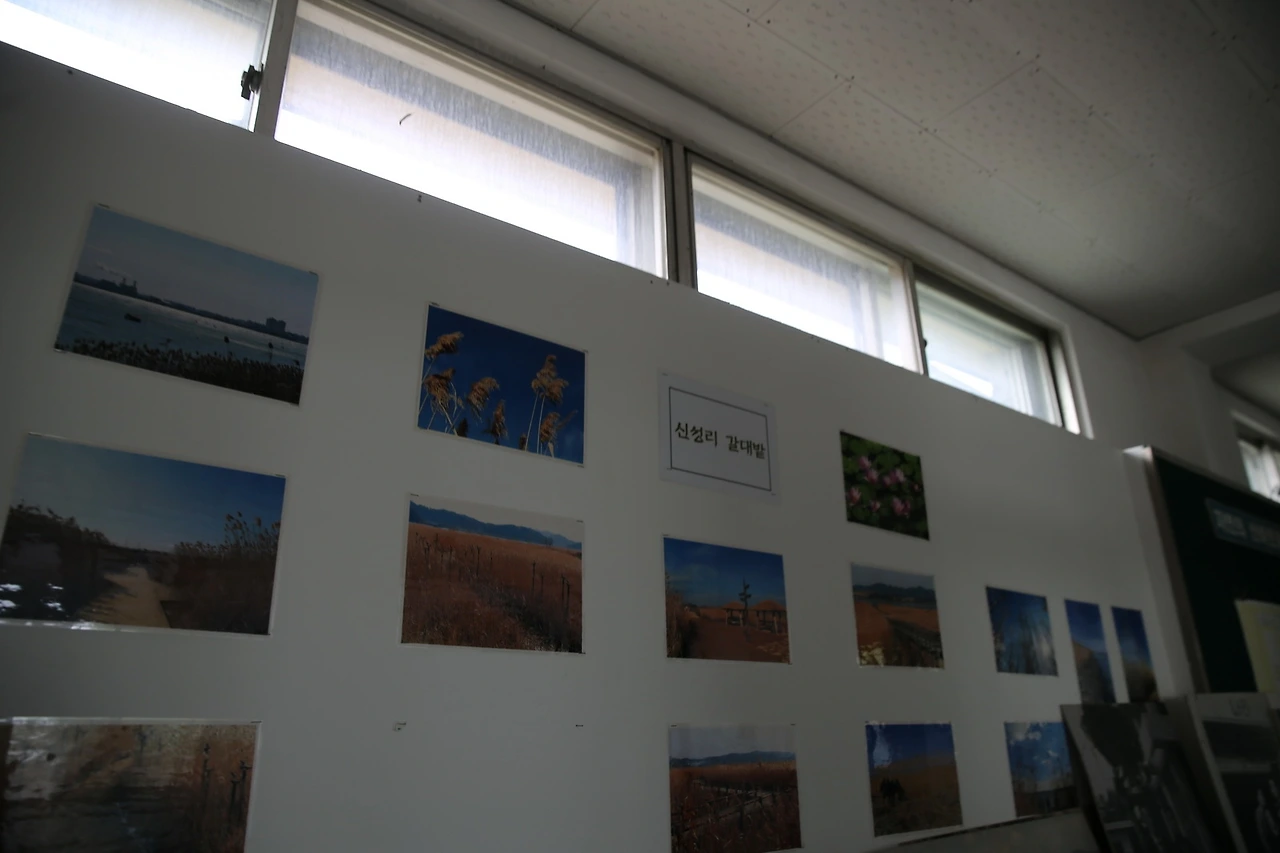 MG0A7019_новый размер.JPG