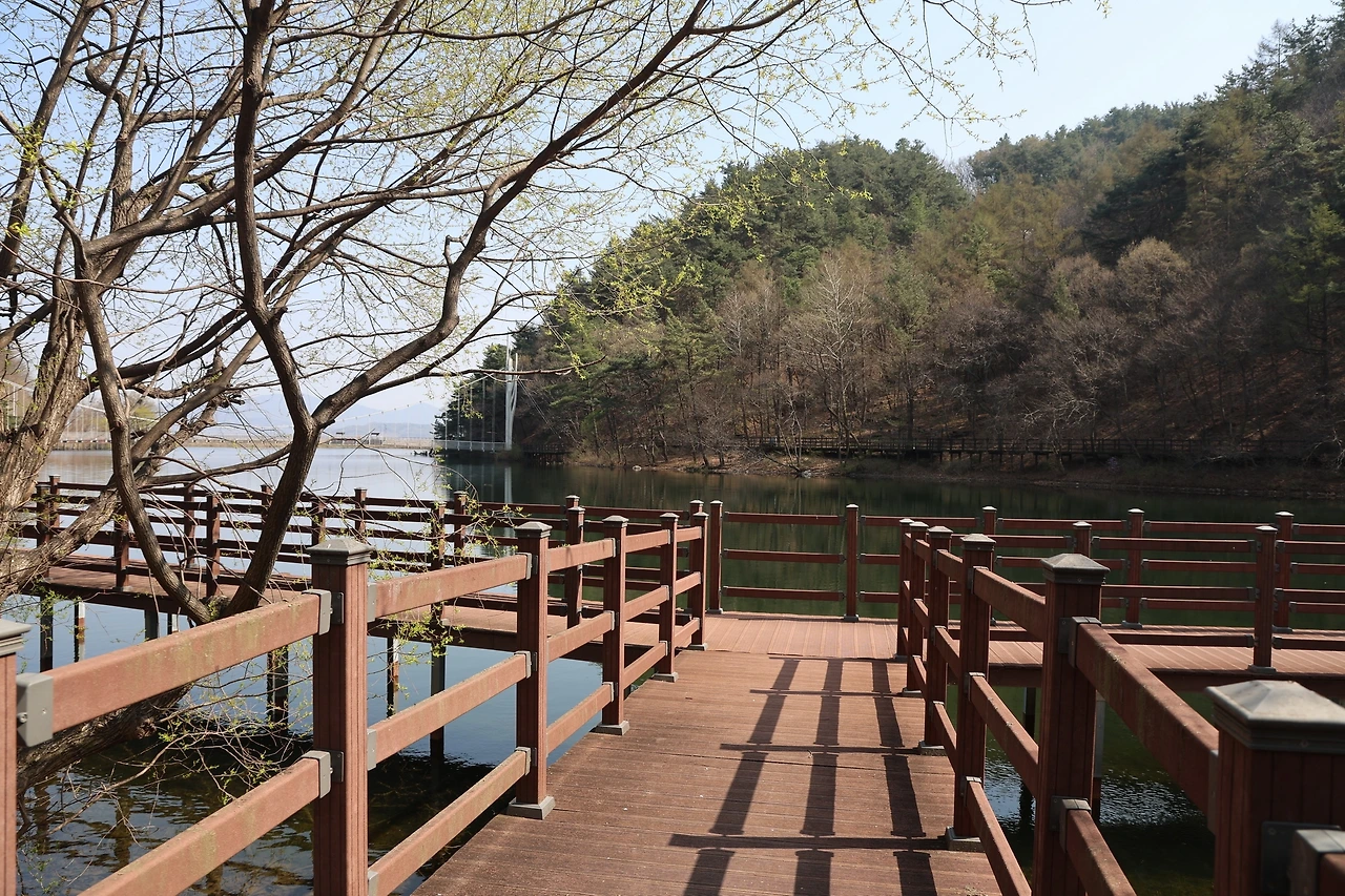 0R5A6471_новый размер.JPG