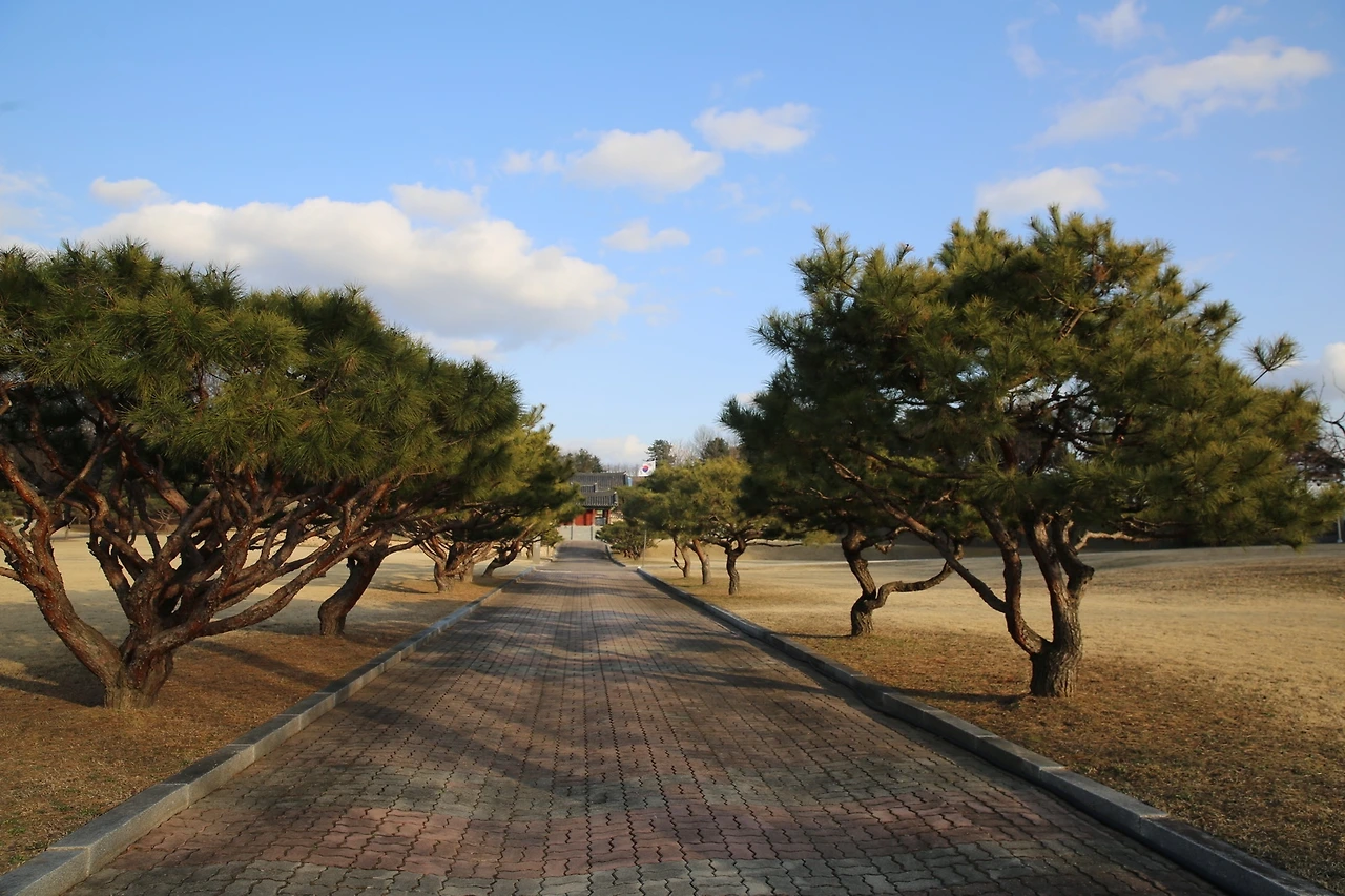 MG0A2008_новый размер.JPG