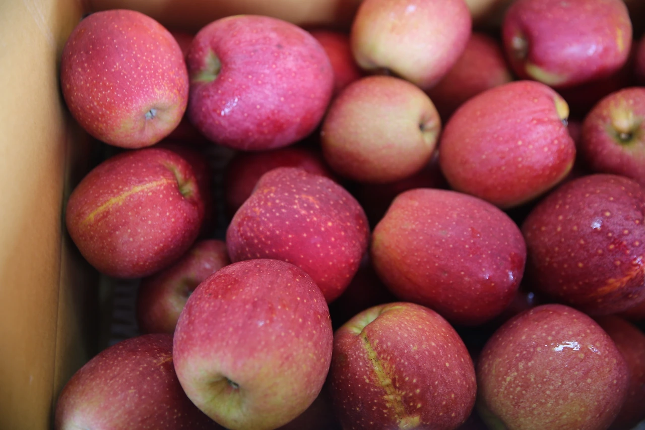 MG0A6274_новый размер.JPG