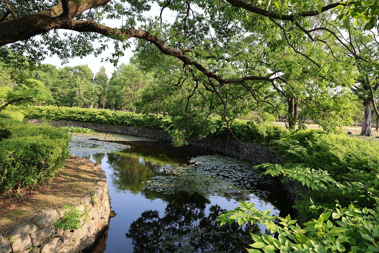 0R5A3002_новый размер.JPG