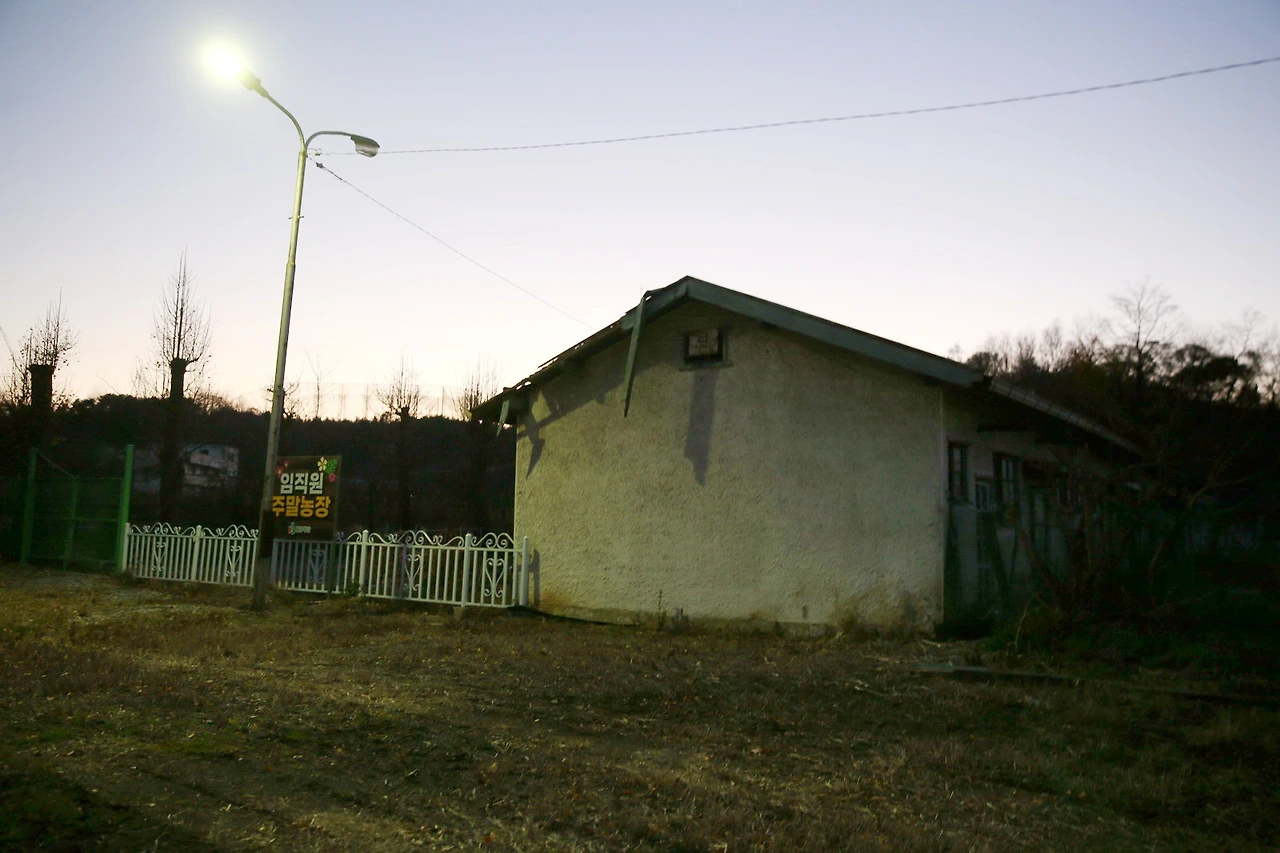 MG0A2309_новый размер_exposure.JPG