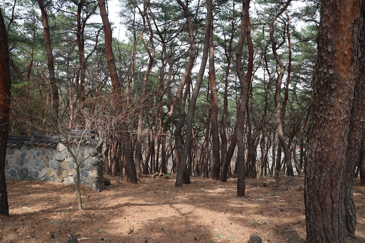 0R5A4698_новый размер.JPG