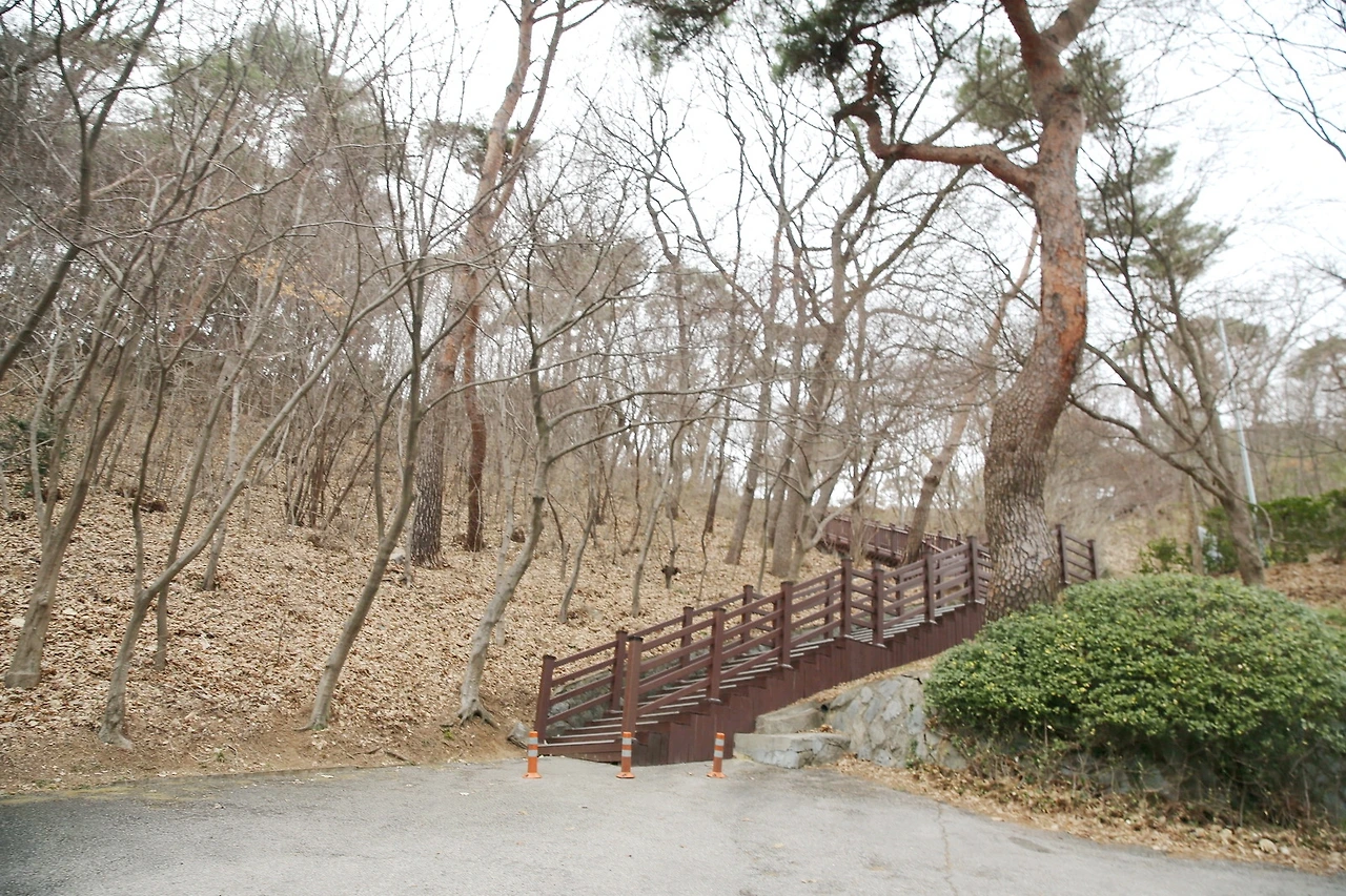 MG0A4636_новый размер_exposure.JPG