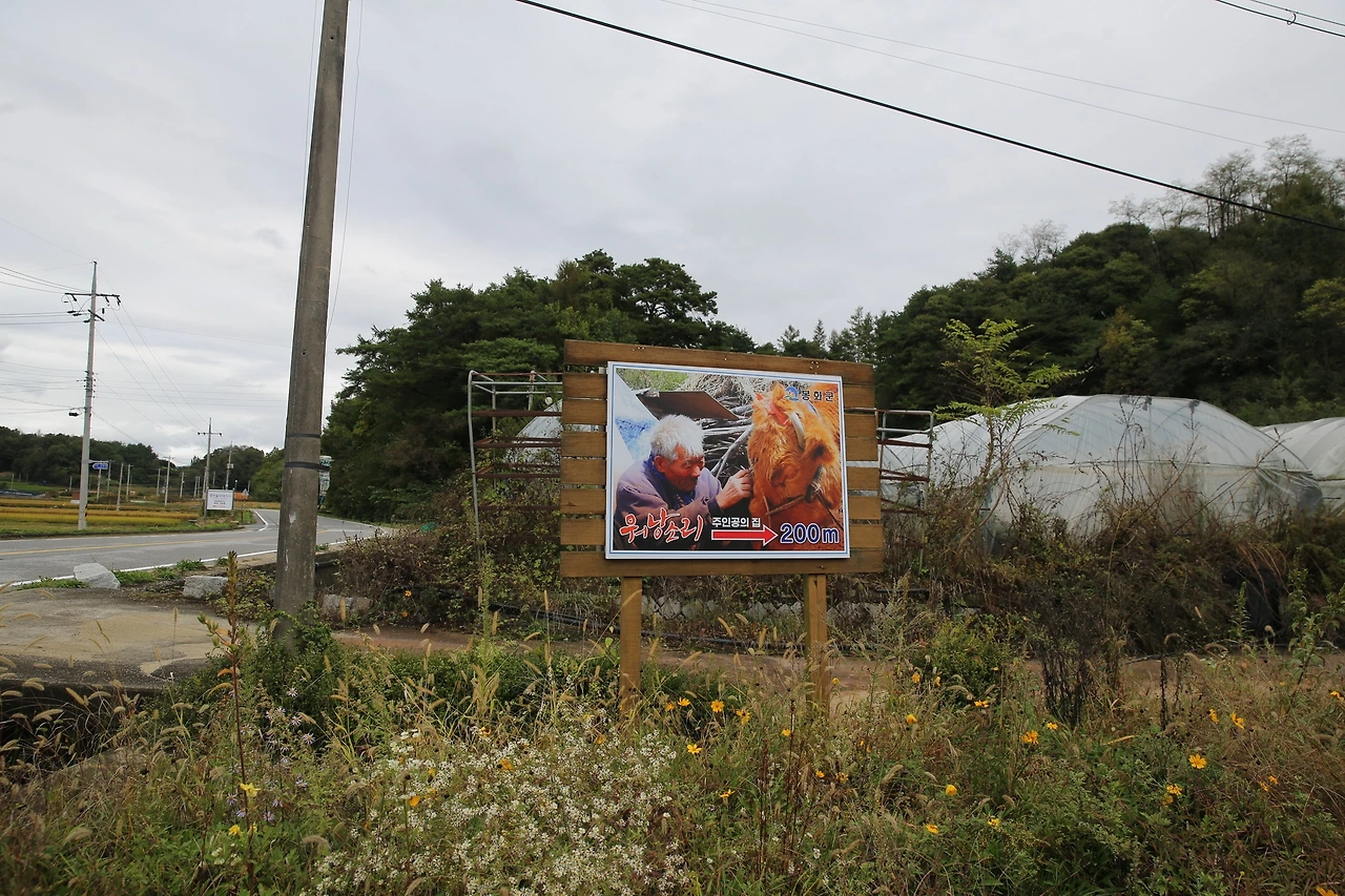 MG0A6382_новый размер.JPG