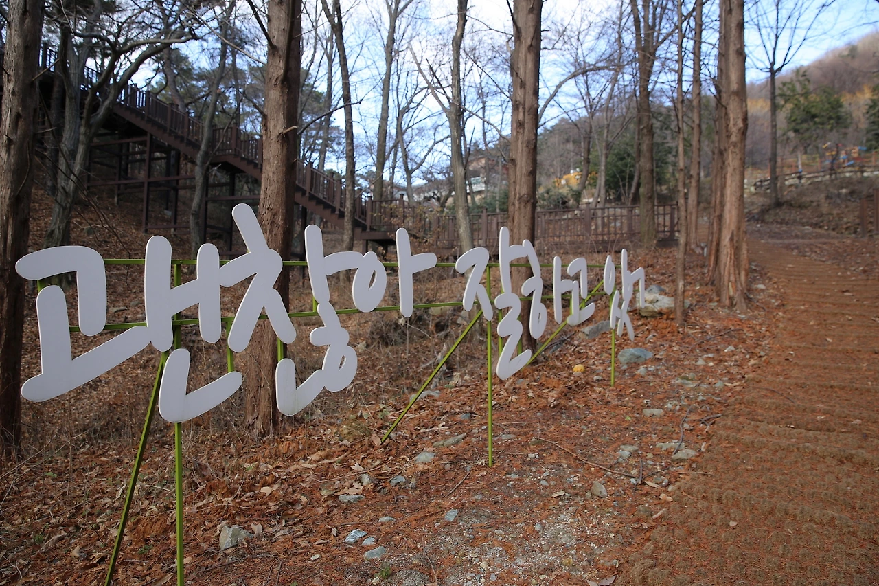 MG0A5545_новый размер.JPG