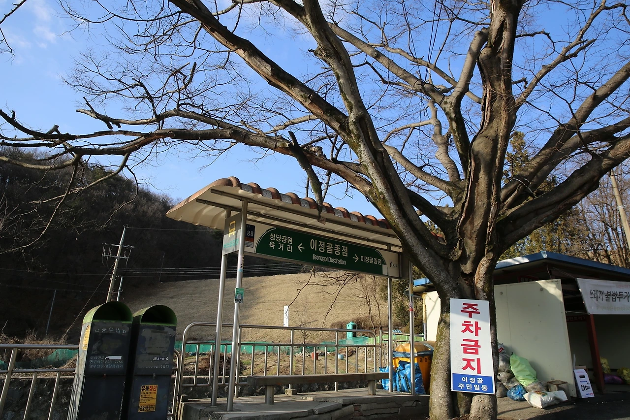 MG0A1979_новый размер.JPG