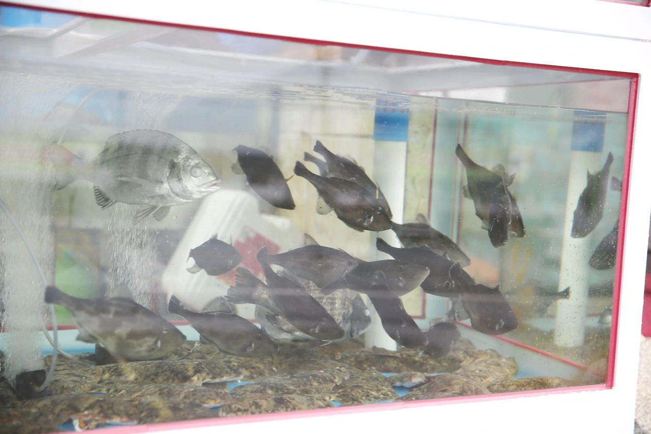 MG0A6476_новый размер_exposure.JPG