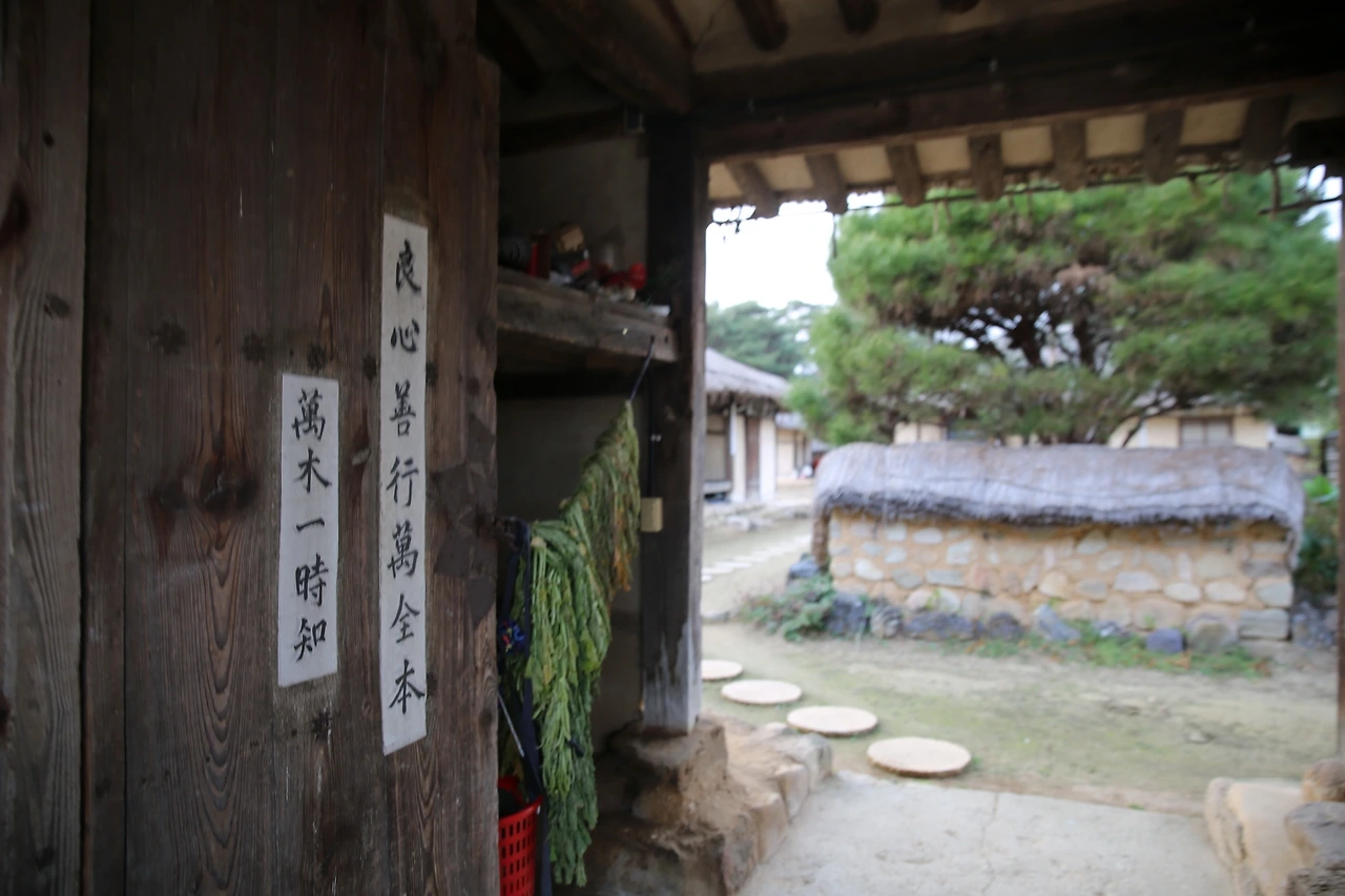 MG0A1818_новый размер.JPG