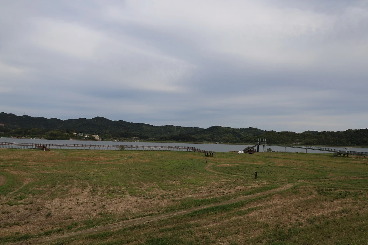 0R5A8475_новый размер.JPG