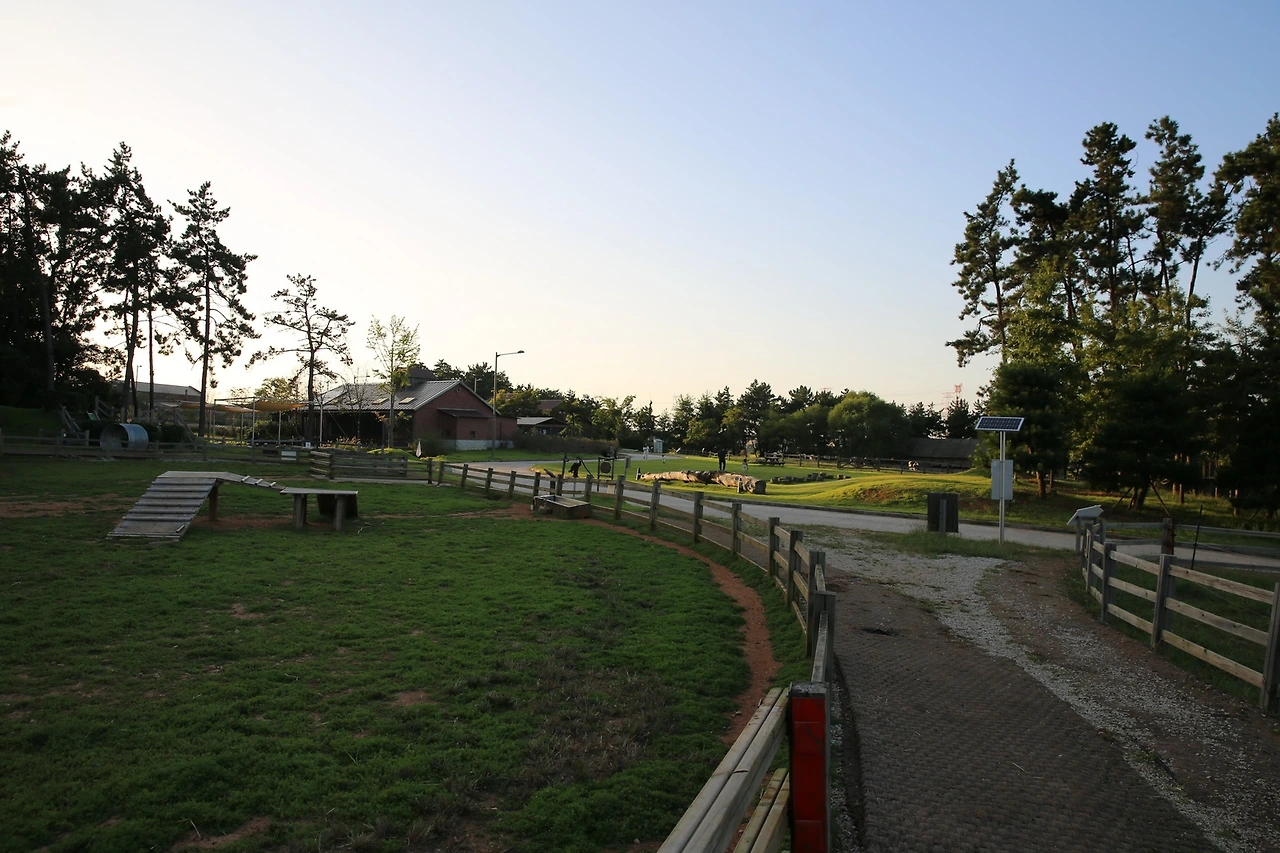 MG0A1411_новый размер.JPG