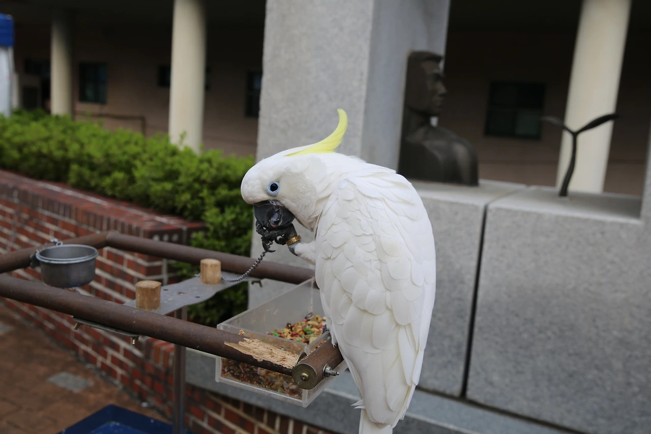 MG0A5882_новый размер.JPG