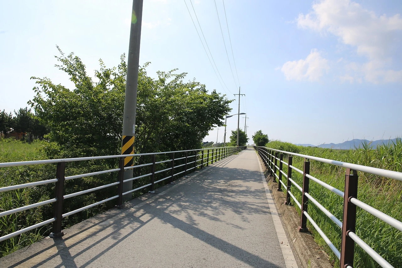 MG0A4610_новый размер.JPG