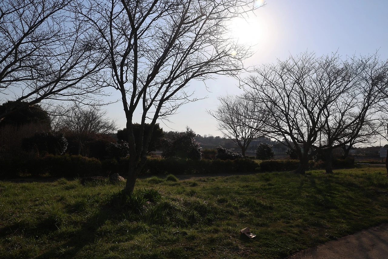 0R5A6098_новый размер.JPG