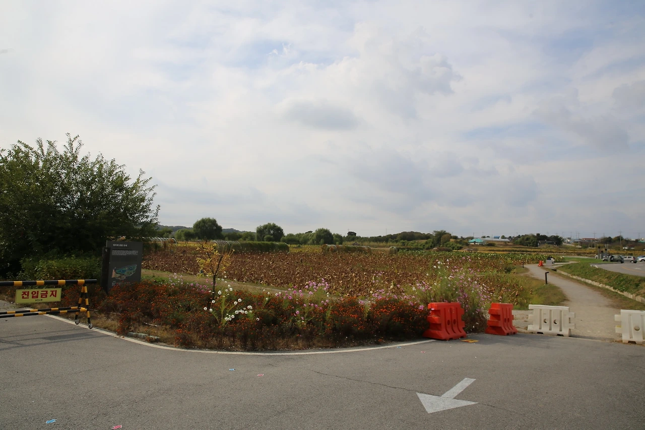 MG0A7351_новый размер.JPG