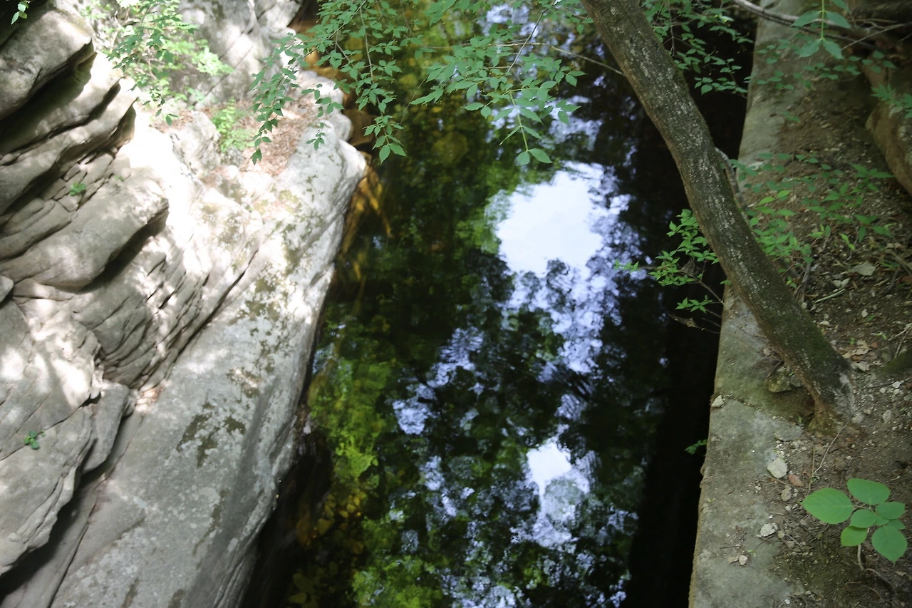 MG0A0748_новый размер.JPG