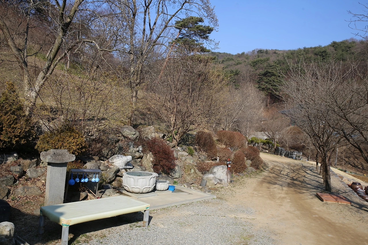 MG0A4400_новый размер.JPG