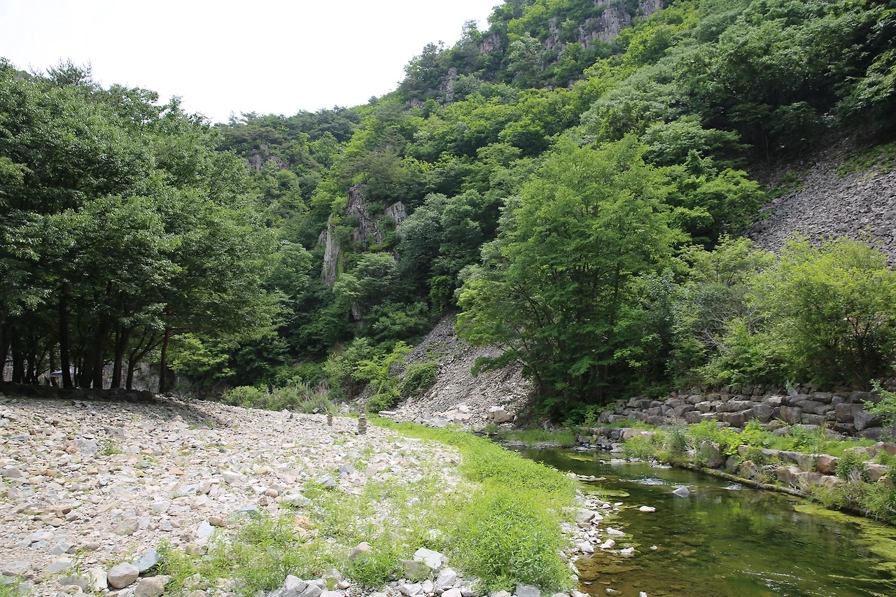 MG0A8516_новый размер.JPG