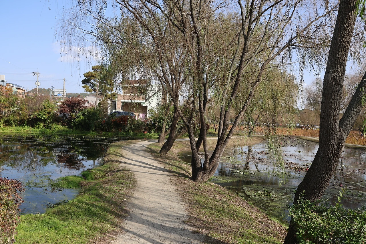 0R5A2415_новый размер.JPG