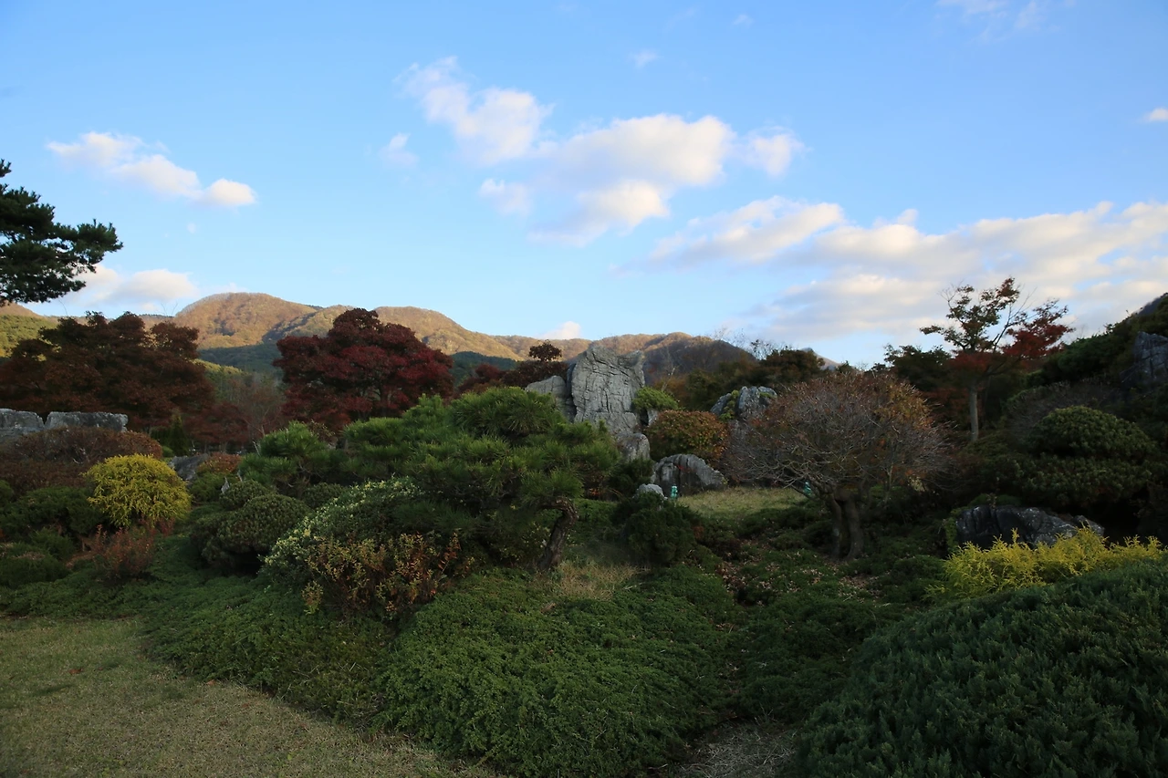 MG0A0661_новый размер.JPG