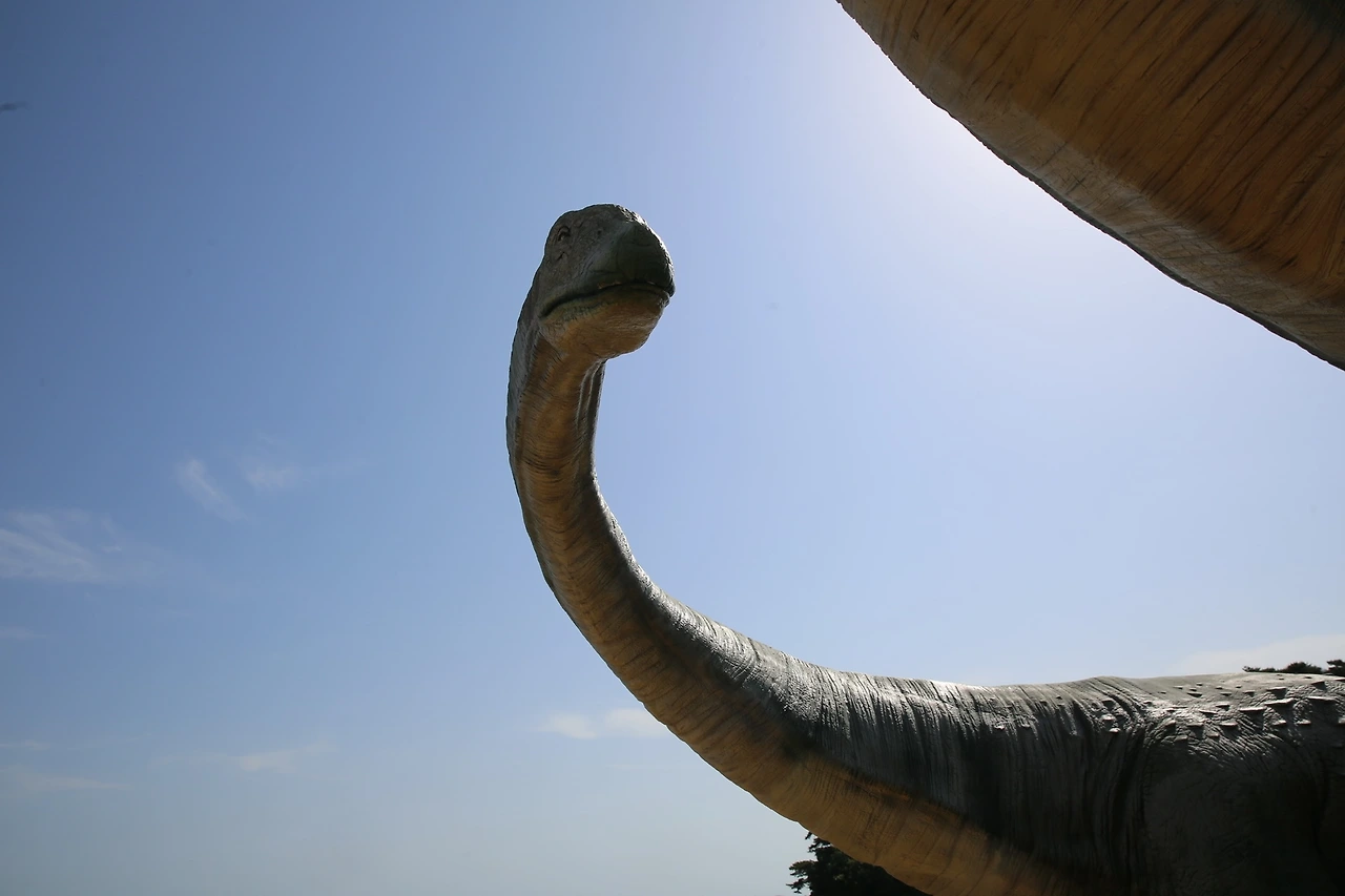 MG0A3922_новый размер.JPG