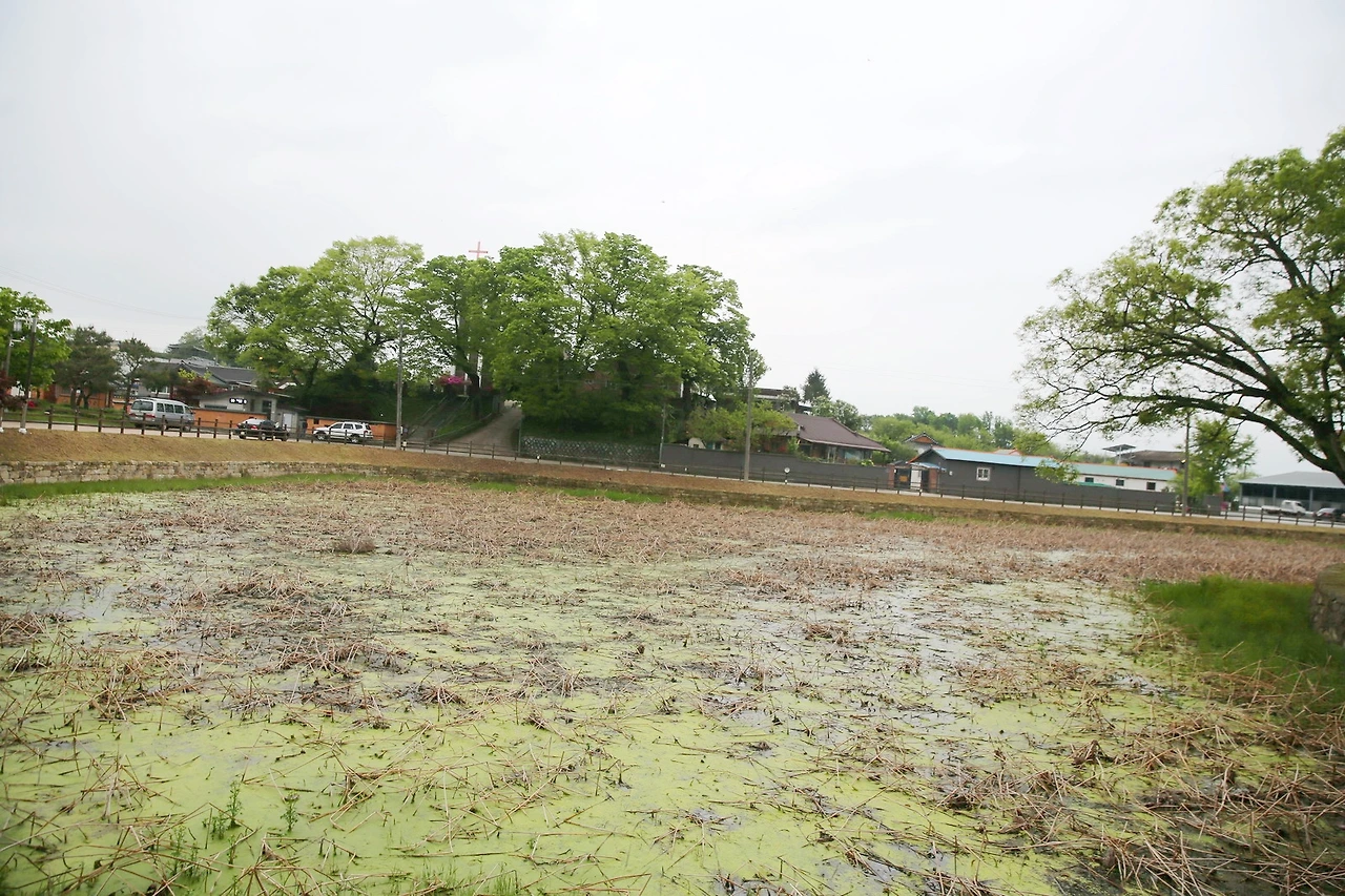 MG0A0720_новый размер_exposure.JPG