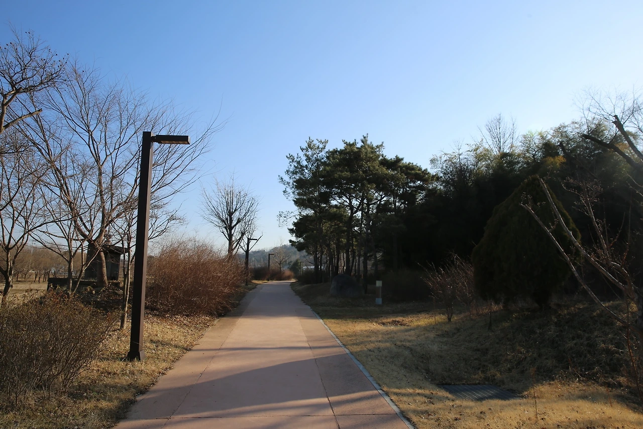 MG0A0159_новый размер.JPG