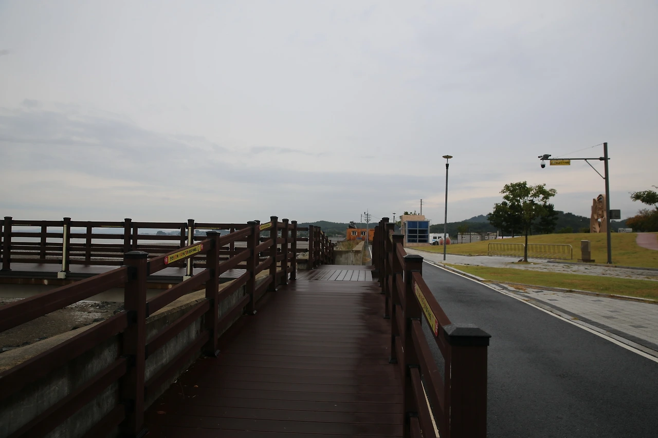 MG0A5083_новый размер.JPG