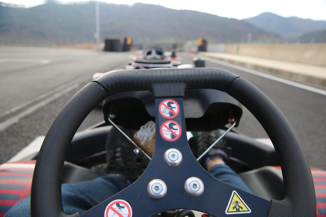 MG0A3093_новый размер.JPG