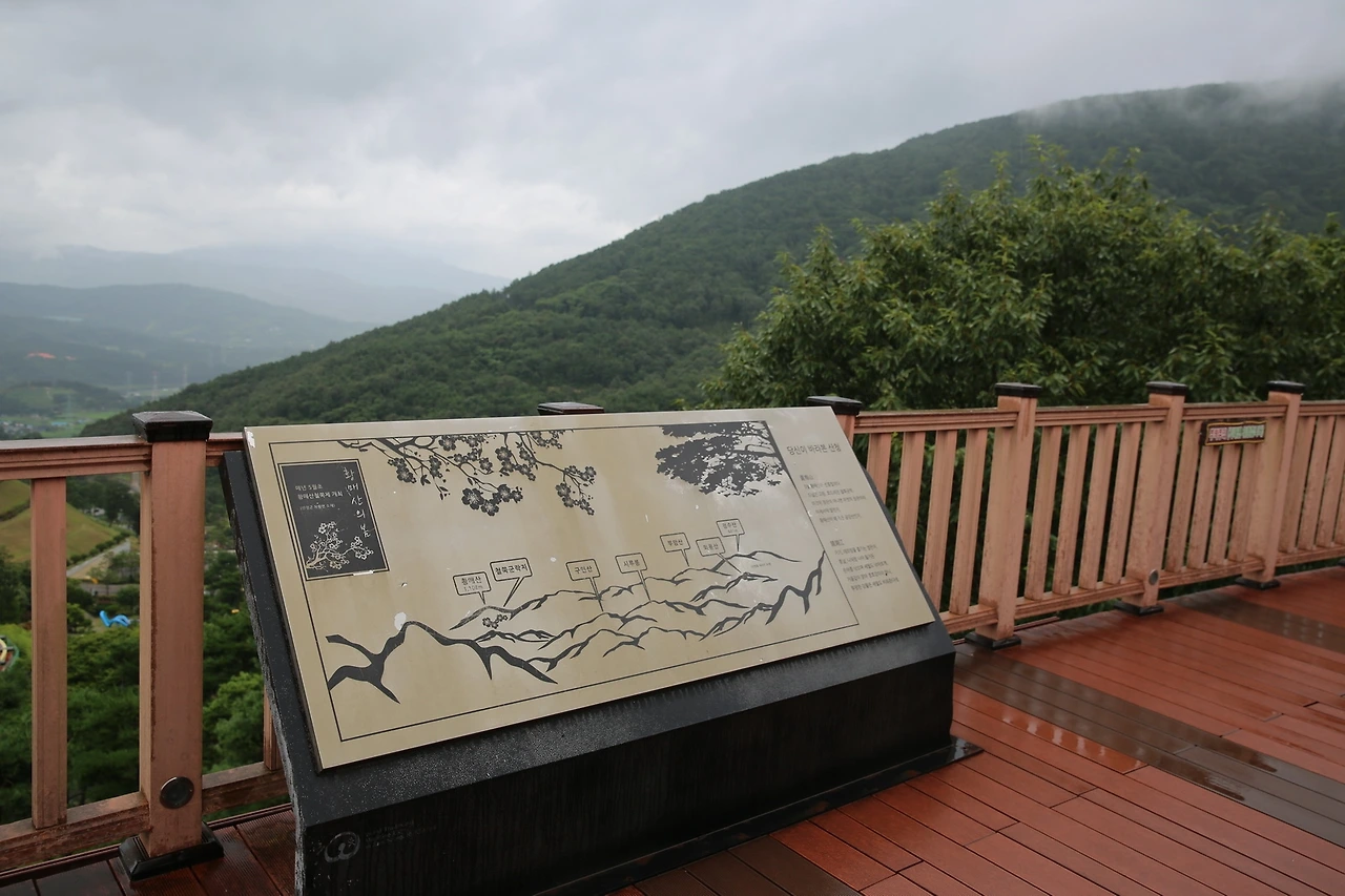 MG0A8437_новый размер.JPG