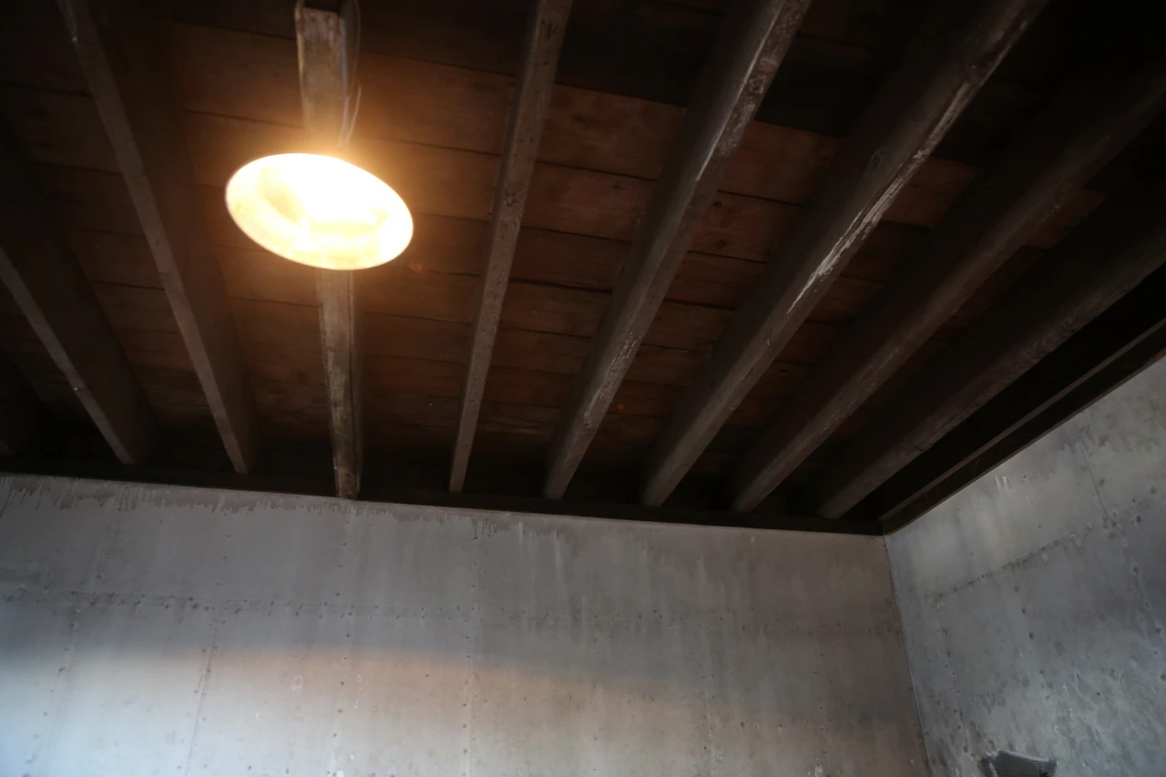 MG0A3563_новый размер.JPG