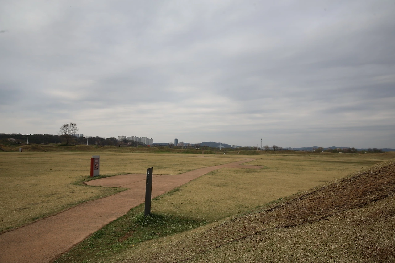 MG0A8240_новый размер.JPG