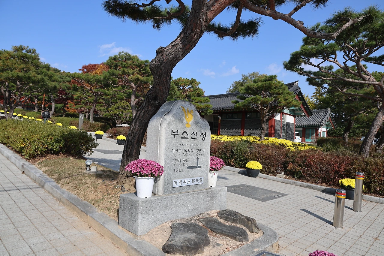 0R5A2366_новый размер.JPG