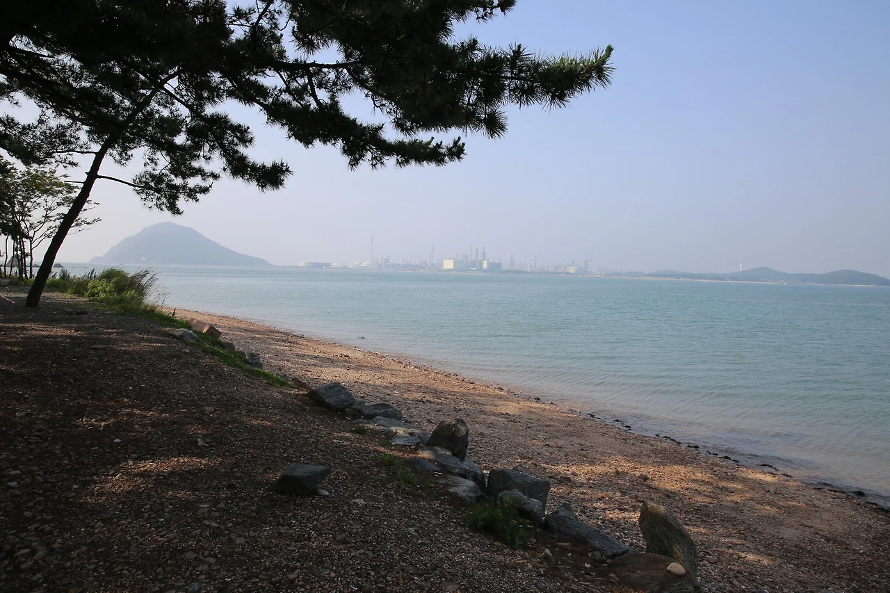 MG0A4040_новый размер.JPG