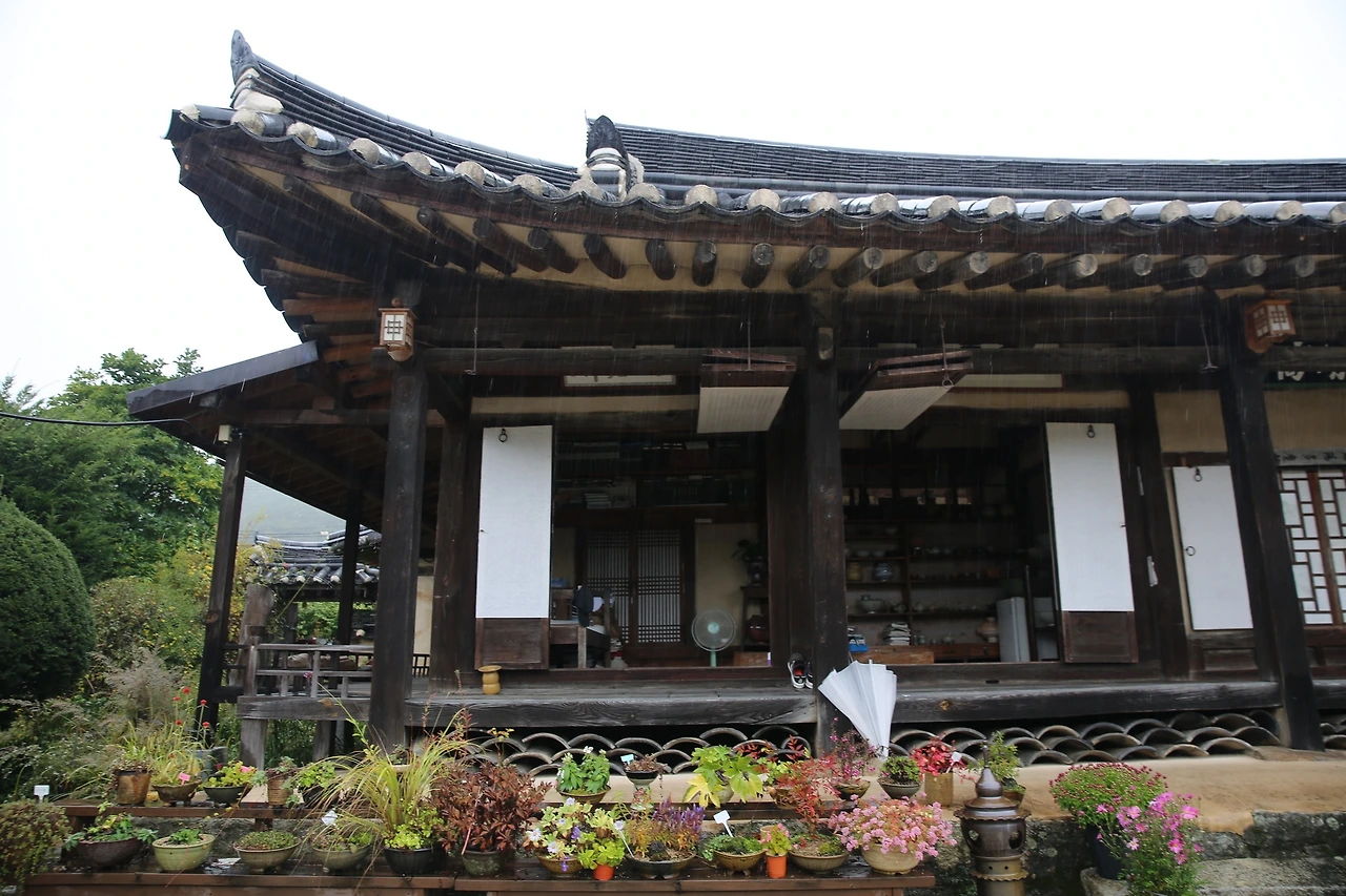 MG0A5996_новый размер.JPG