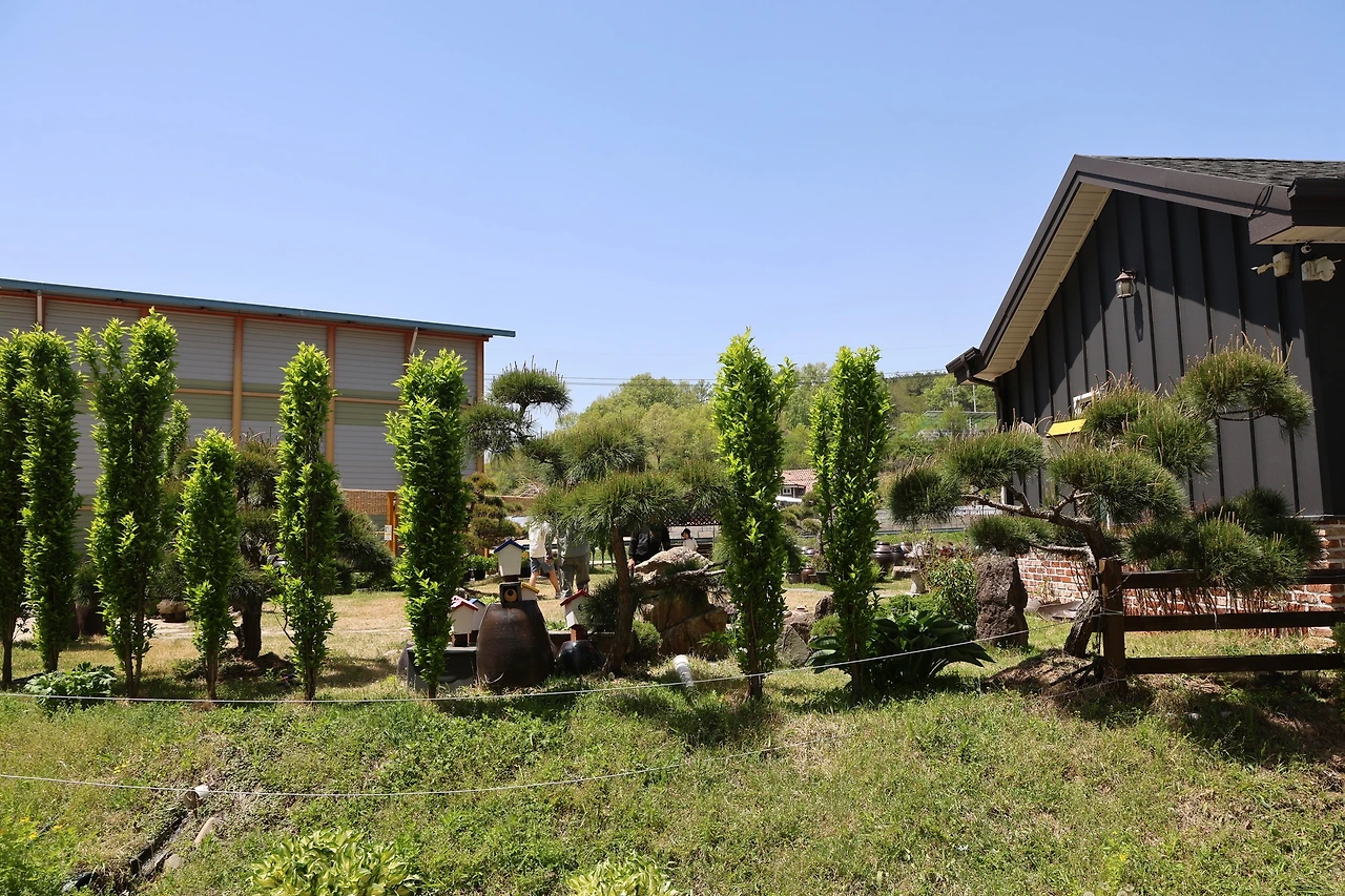 0R5A9570_новый размер.JPG