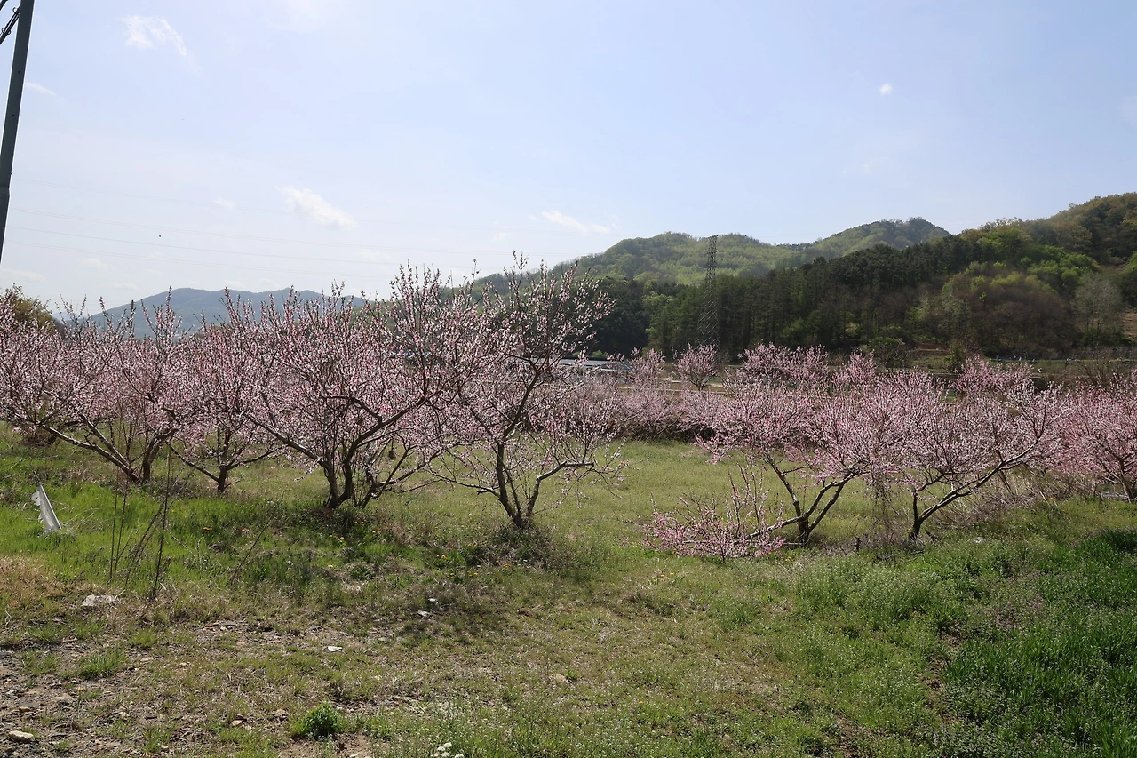 0R5A7182_новый размер.JPG