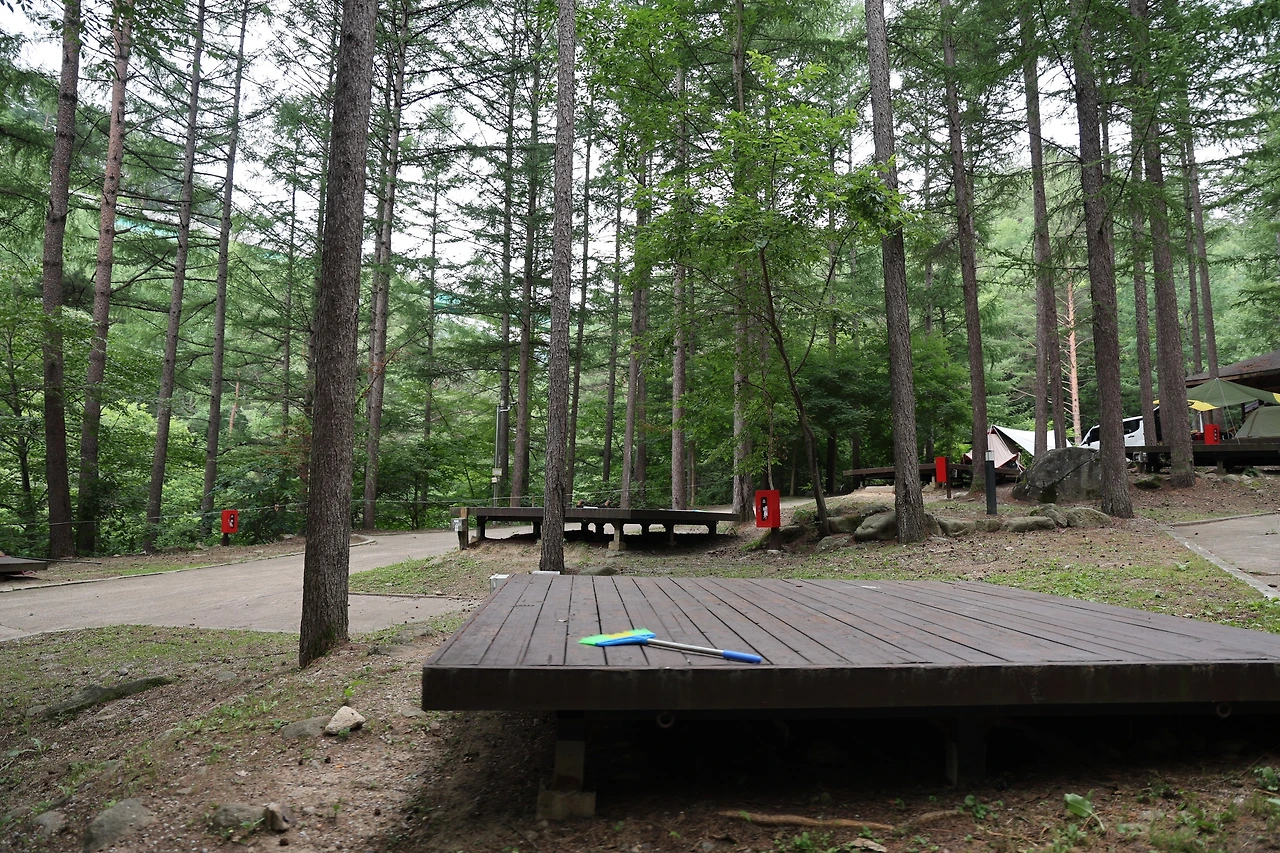 0R5A8664_новый размер.JPG