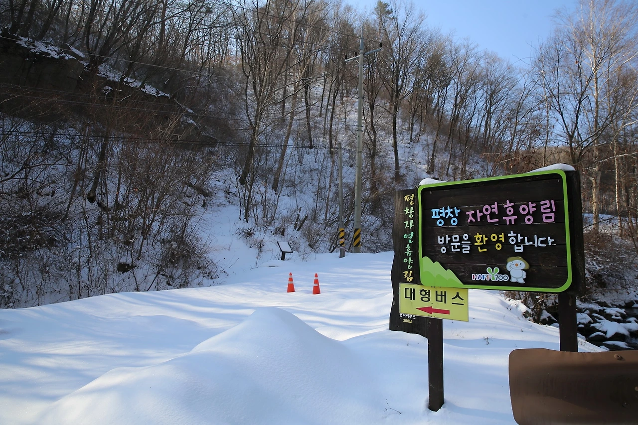 MG0A5028_новый размер.JPG