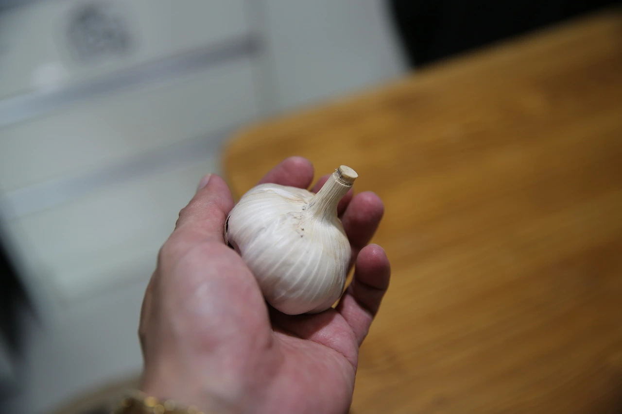 MG0A2511_новый размер.JPG