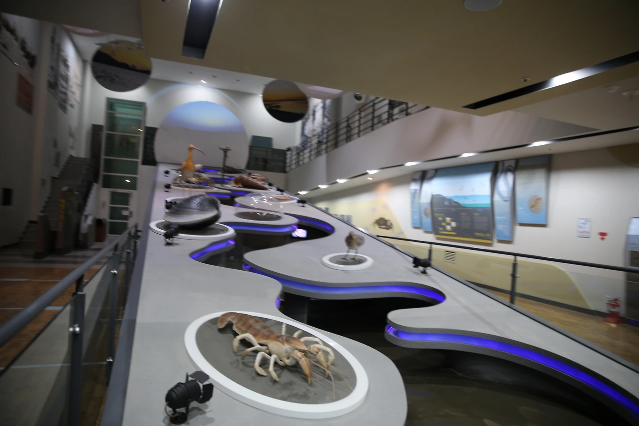 MG0A5319_новый размер.JPG