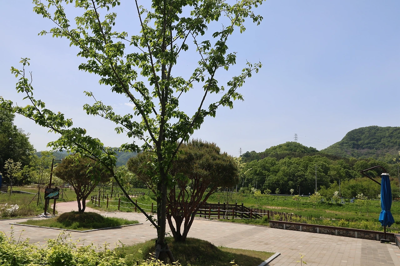 0R5A9925_новый размер.JPG